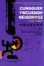 中国壮医内科学 下 各论 壮汉双语 封面
