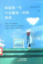 你是我一生只会遇见一次的惊喜 封面
