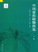 中国畲药植物图鉴 下 封面