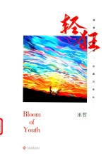 轻狂 封面