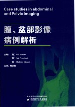 腹、盆部影像病例解析 电子书封面