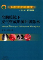 全胸腔镜下支气管成形肺叶切除术  第2版 封面