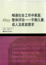 精通社会工作中家庭整体评估 电子书封面