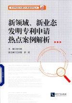 新领域、新业态发明专利申请热点案例解析 电子书封面