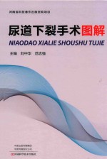 尿道下裂手术图解 封面
