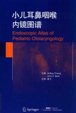儿科耳鼻喉内镜图谱 封面