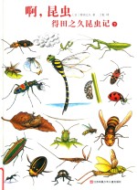 啊，昆虫：得田之久昆虫记  下 封面