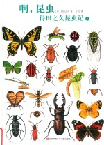 啊，昆虫：得田之久昆虫记  上 封面