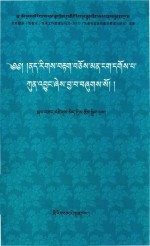 慈智木临证经验札记 藏文 封面