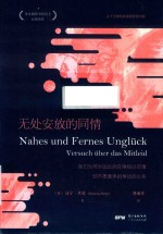 无处安放的同情 封面