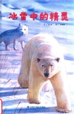 冰雪中的精灵 封面