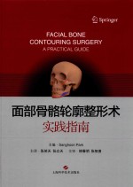 面部骨骼轮廓整形术  实践指南 封面