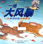 一场大风暴 封面