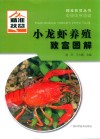 小龙虾养殖致富图解 封面