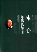 冰心年谱长编  下 封面