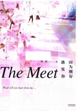 因为刚好遇见你 封面