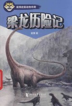 梁龙历险记 封面