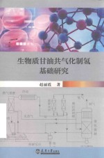 生物质甘油共气化制氢基础研究 封面