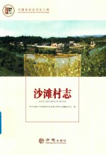 沙滩村志 封面