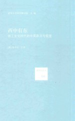 西中有东 封面
