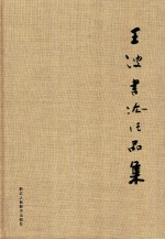 王波书法作品集 封面