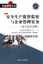 安全生产监管监察与企业管理实务 电子书封面
