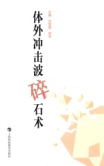 体外冲击波碎石术 封面