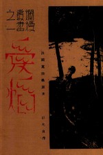 爱焰  合订本 封面