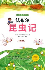 法布尔昆虫记 封面