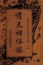 情天补恨录  下 封面