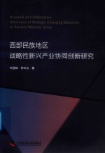 西部民族地区战略性新兴产业协同创新研究 封面