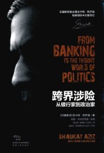 跨界涉险 电子书封面