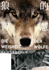 狼的智慧 封面