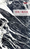 看见一块石头 封面