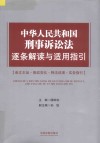 中华人民共和国刑事诉讼法逐条解读与适用指引 封面