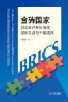 金砖国家资本账户开放强度差异之谜与中国选择 封面