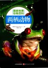 两栖动物 封面