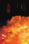 火苗 封面