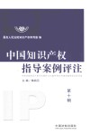 中国知识产权指导案例评注  中国法院知识产权司法保护10大案件和50件典型案例全文及评术  第10辑 封面