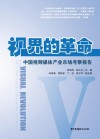 视界的革命 中国视频媒体产业市场考察报告 封面