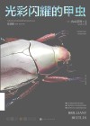 光彩闪耀的甲虫 插图版 封面