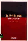 红星骨伤流派推拿手法图解 封面