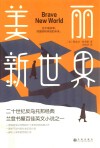 美丽新世界 封面
