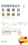 经济案件鉴定中专项审计案例解析 封面