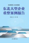 东北大型企业重整案例报告 封面