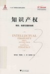 知识产权  理念、制度与国家战略 封面