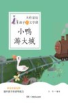 小鸭游大城 封面