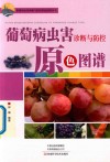 葡萄病虫害诊断与防控原色图谱 封面