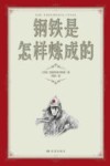 钢铁是怎样炼成的 封面