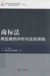 商标法典型案例评析与实务策略 封面